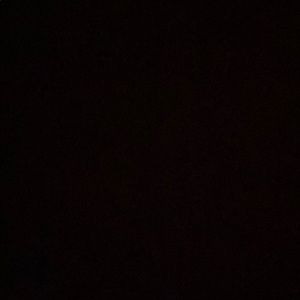 Meet your Posher, Vironnica